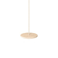 Wooden Disc Swing Attachment for EVERGYM Wall Bars - Tiny Tugz™