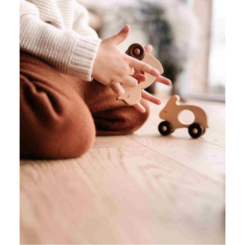 Wooden Duck Toy on Wheels – Montessori Eco-Friendly Classic - Tiny Tugz™