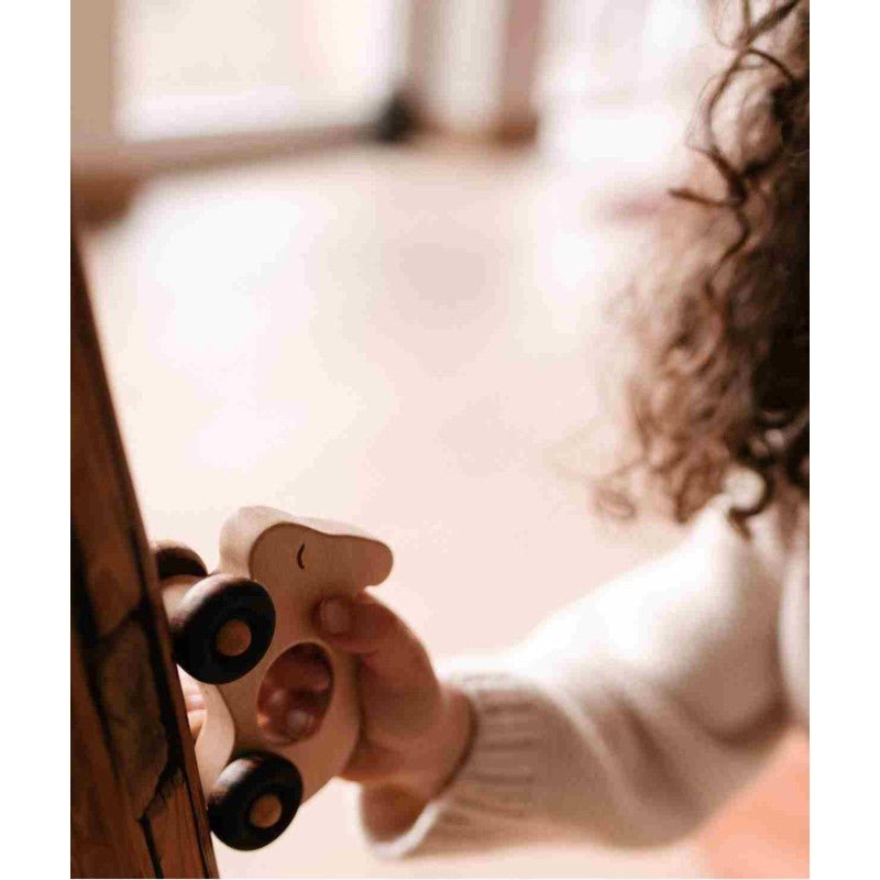 Wooden Rabbit Toy on Wheels – Montessori Eco-Friendly Classic - Tiny Tugz™