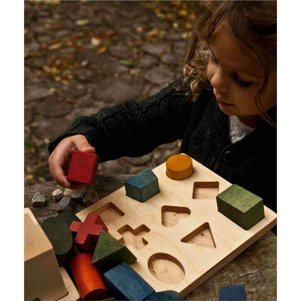 Wooden Shape Sorting Blocks - Colors